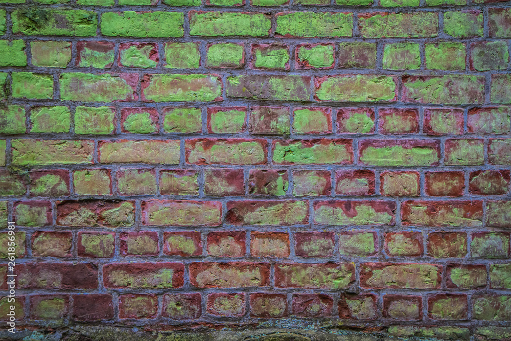 Fototapeta premium Brick wall in close up 