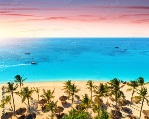 Aerial view of palms on the sandy beach of Indian Ocean at sunset. Summer holiday in Zanzibar, Africa. Tropical landscape with green palm trees, sand, blue water, colorful sky. Top view of sea coast