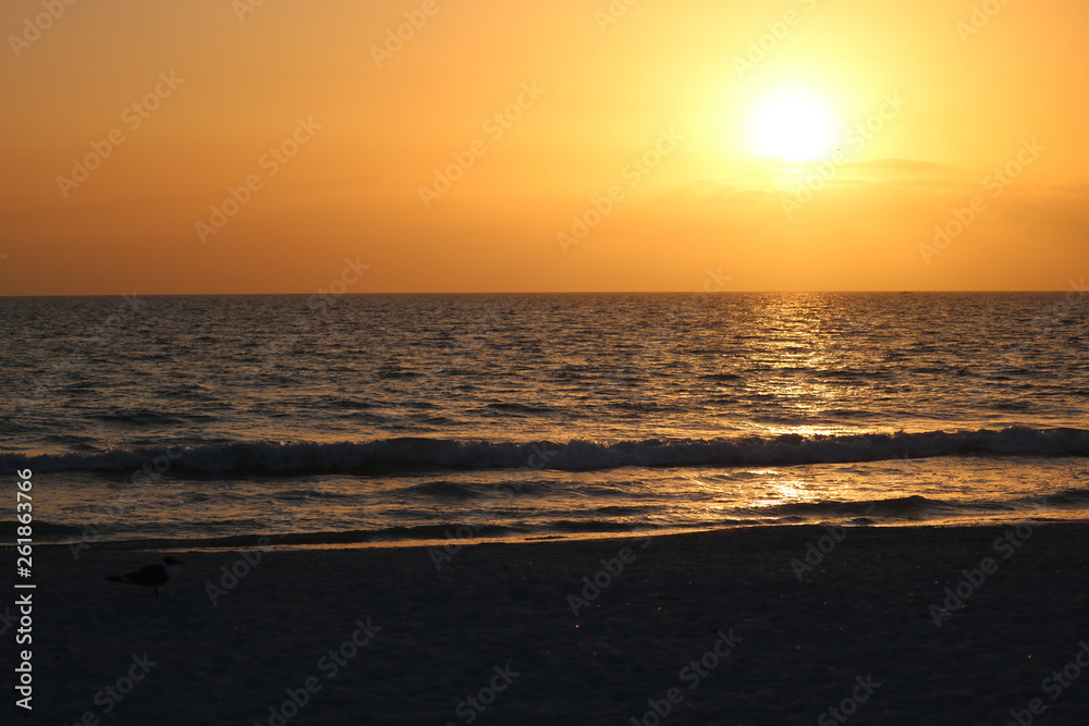 Fototapeta premium sunset on the beach