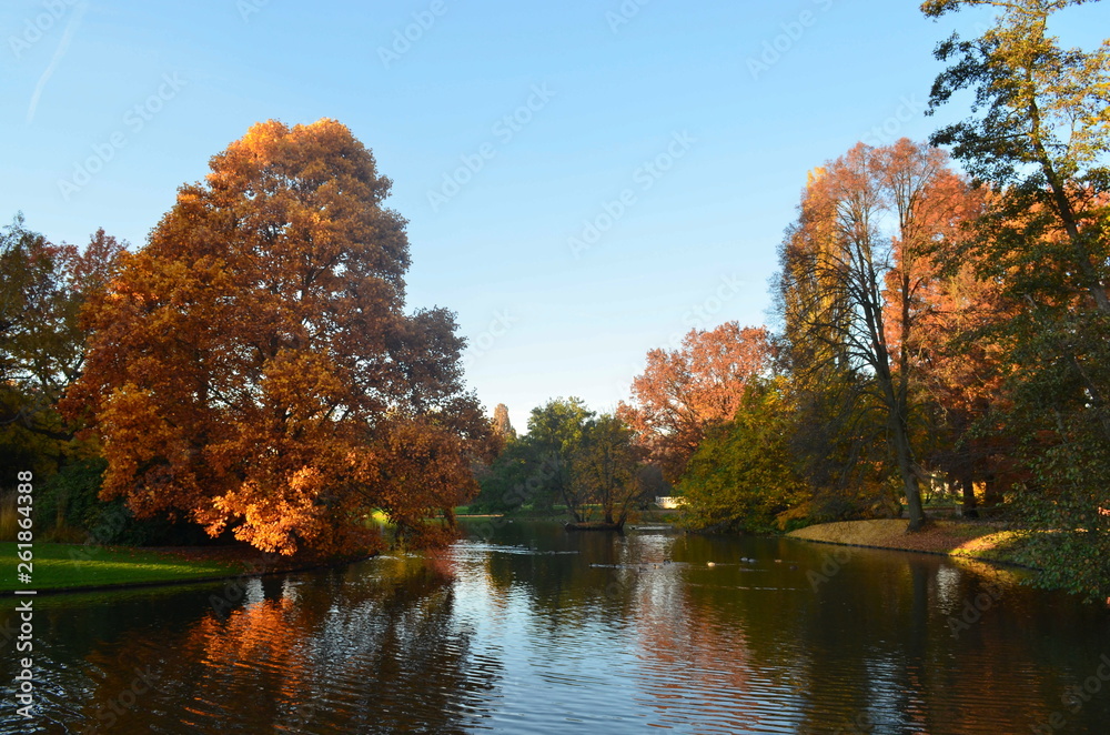 Herbst Teich Park