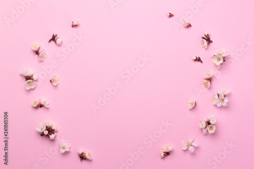 Spring composition of white flowers on a pink paper background.
