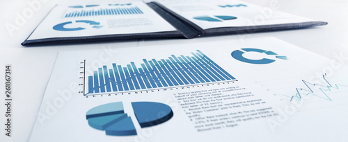 Obraz na płótnie business report and documents statistics on the office workplace w salonie