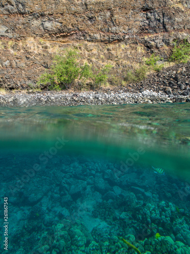 Kealakekua Bay