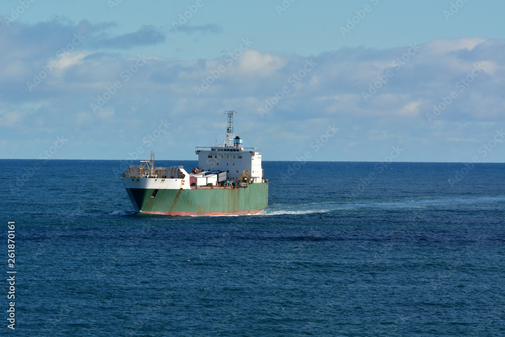 Cargo ship sailing in the sea