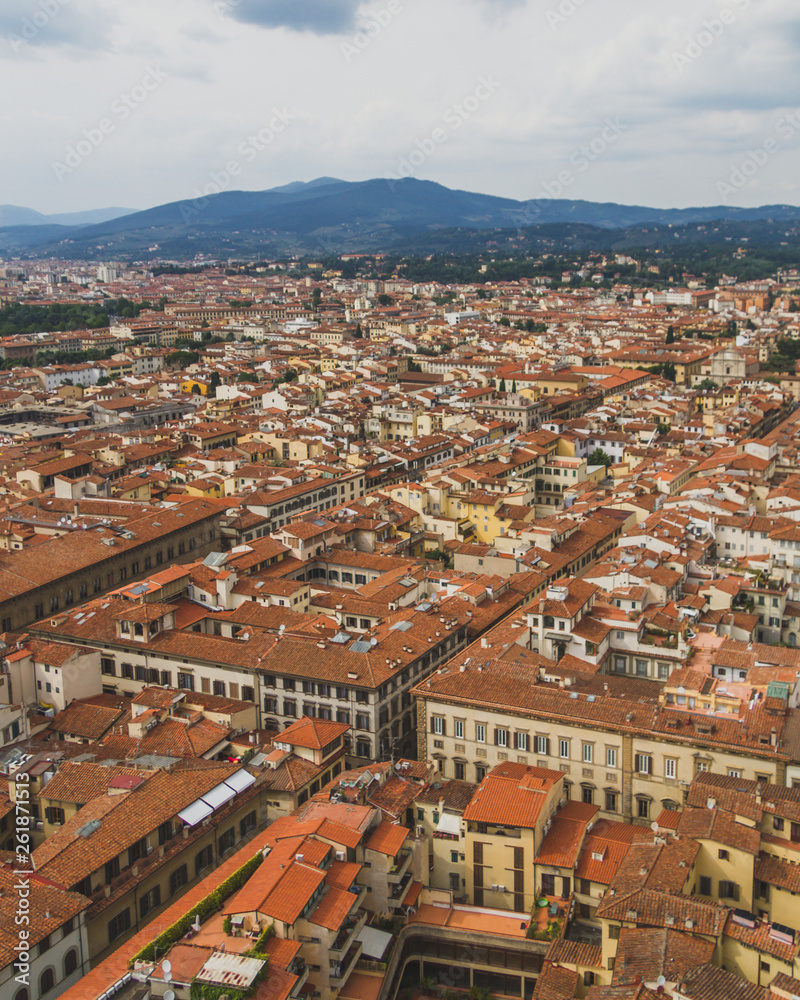 View of buildings and the city of Florence, Italy