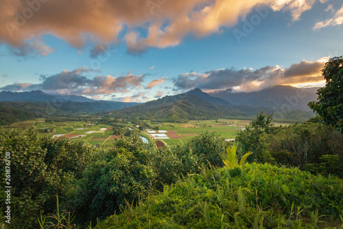 Fototapeta Naklejka Na Ścianę i Meble -  View from Hanalei Valley Lookout on the Hawaiian island of Kauai, USA