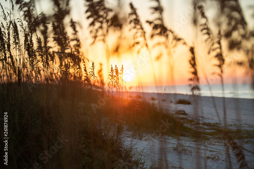 Romantic   sunset at Gulf Shores Alabama near Orange beach as seen through the sea oats. The colorful bokeh of this artistic shot is compliments of the glorious sunset over the white sand.