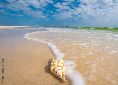 Obraz na plátně A seashell sits calmly as the ocean waves break against the white sand