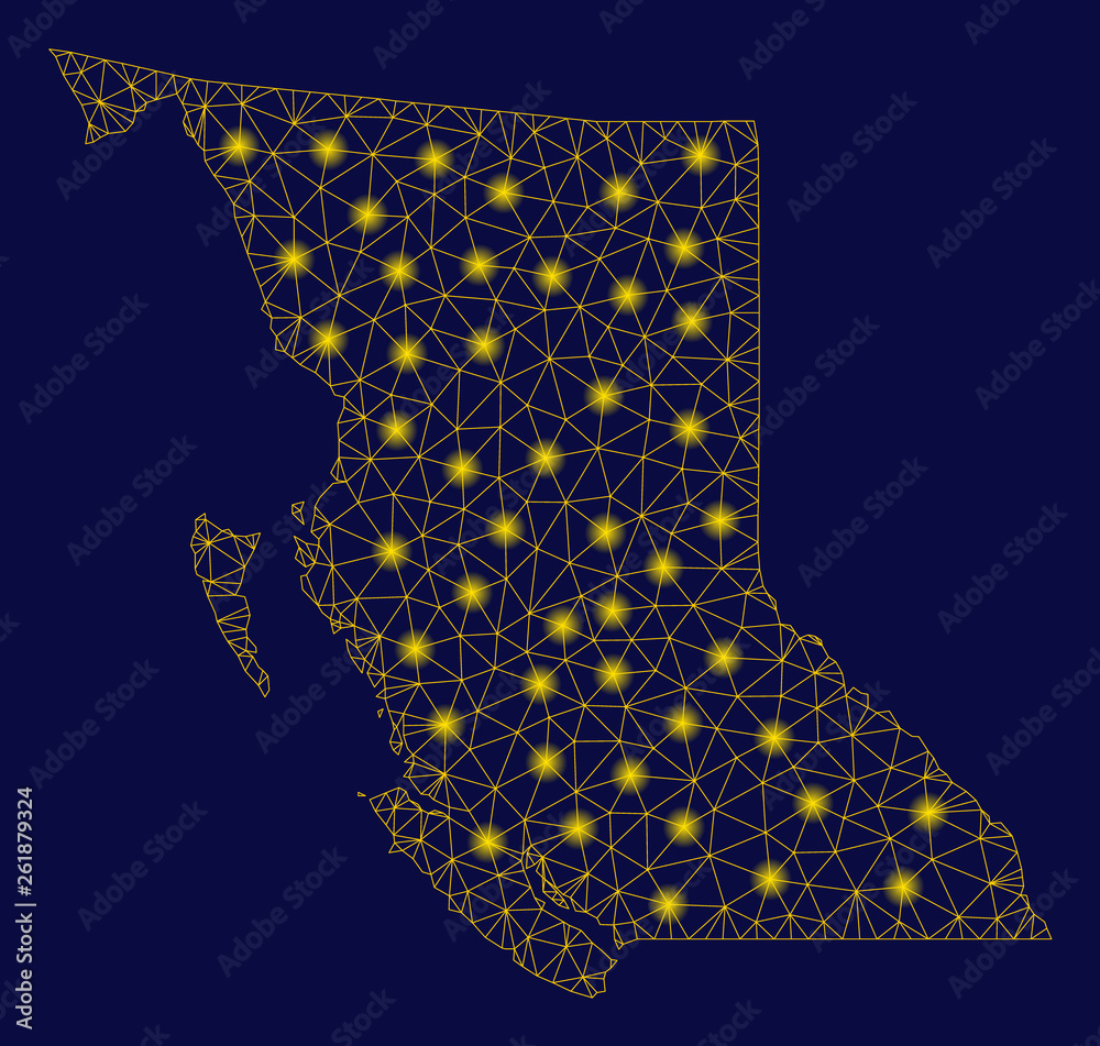 Bright yellow mesh British Columbia - 1000 F 261879324 OUSMsLZsLIOexnhnmxiBjbxVeaV94phJ 