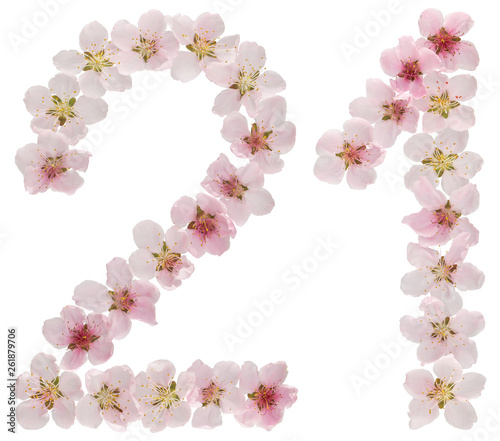 Numeral 21  twenty one  from natural pink flowers of peach tree  isolated on white background