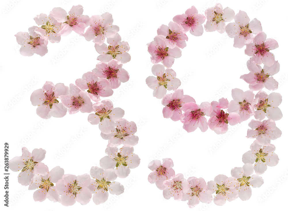 Numeral 39, thirty nine, from natural pink flowers of peach tree, isolated on white background