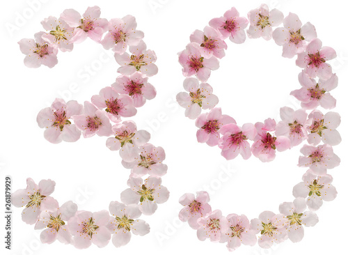 Numeral 39, thirty nine, from natural pink flowers of peach tree, isolated on white background