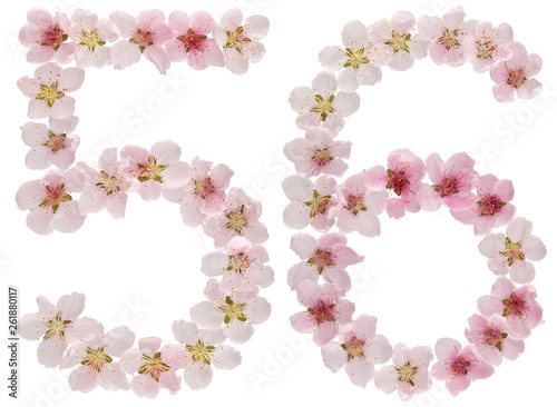 Numeral 56  fifty six  from natural pink flowers of peach tree  isolated on white background