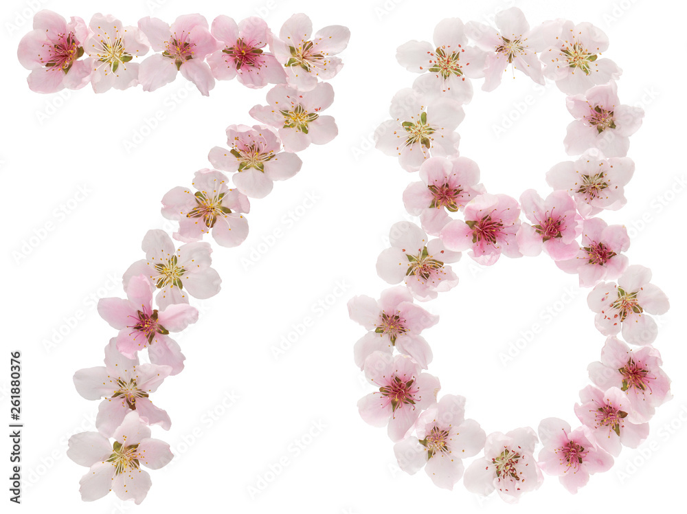 Numeral 78, seventy eight, from natural pink flowers of peach tree, isolated on white background