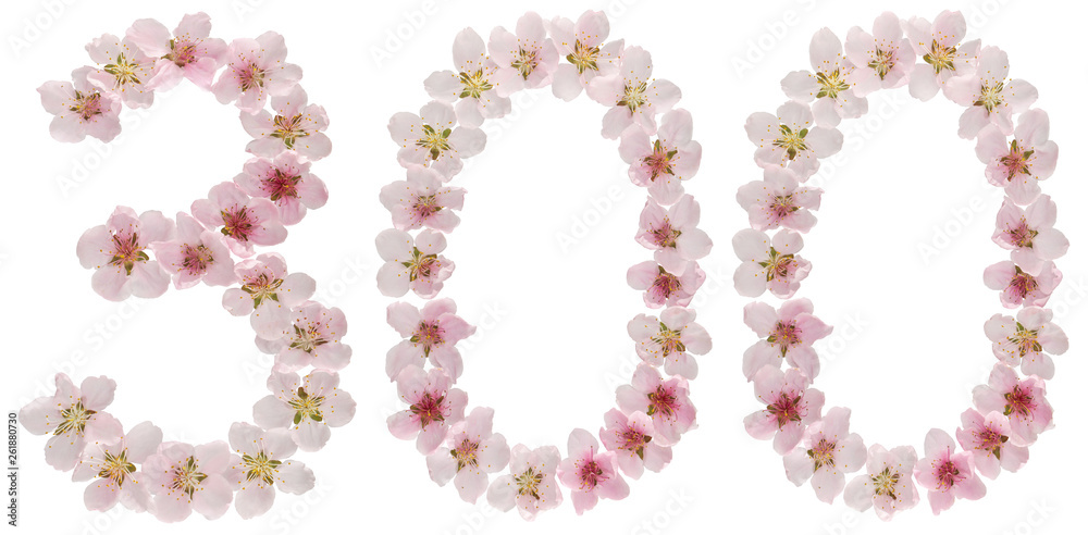 Numeral 300, three hundred, from natural pink flowers of peach tree, isolated on white background