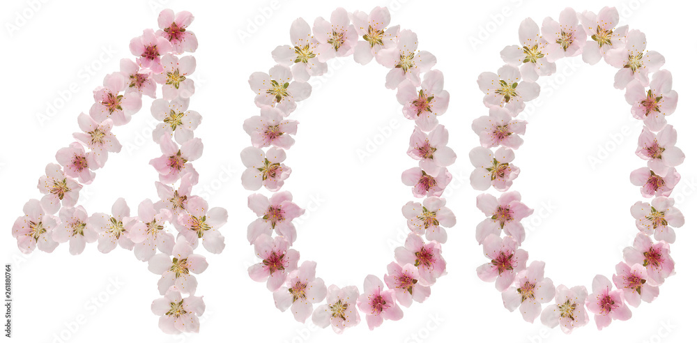 Numeral 400, four hundred, from natural pink flowers of peach tree, isolated on white background