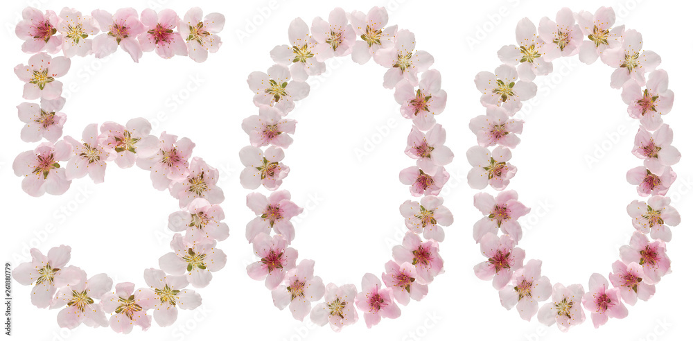 Numeral 500, five hundred, from natural pink flowers of peach tree, isolated on white background