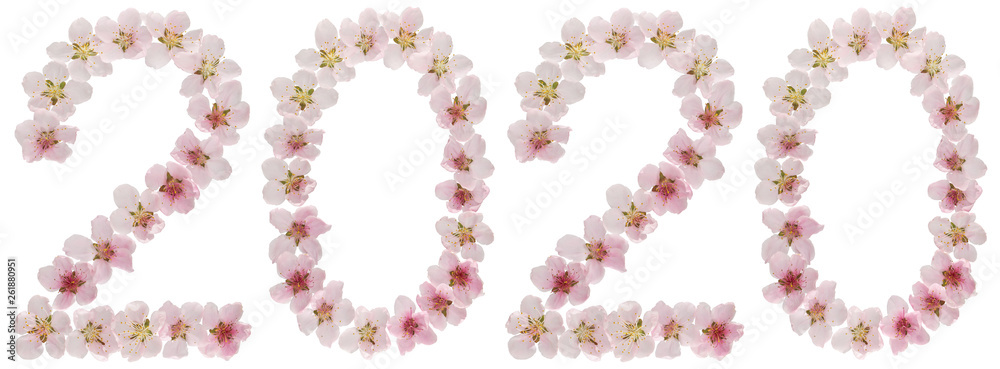 Inscription 2020, from natural pink flowers of peach tree, isolated on white background