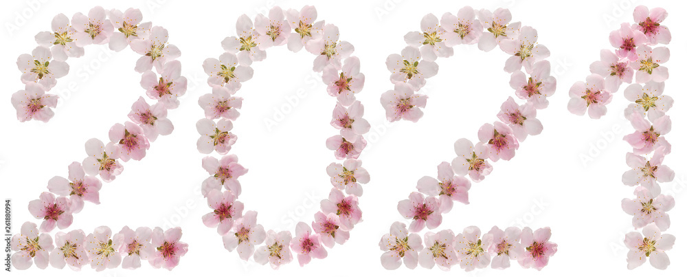 Inscription 2021, from natural pink flowers of peach tree, isolated on white background