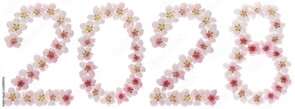 Inscription 2028, from natural pink flowers of peach tree, isolated on white background