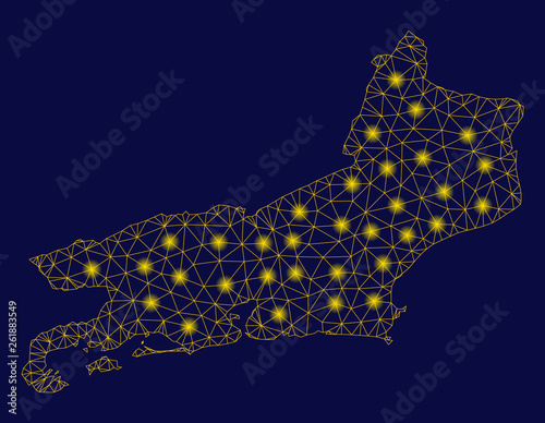 Bright yellow mesh Rio de Janeiro State map with glow effect. Wire carcass triangular mesh in vector EPS10 format on a dark black background. Abstract 2d mesh designed with triangular lines, points,