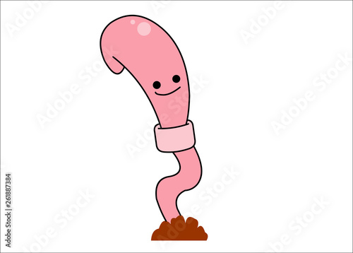 earthworm photo