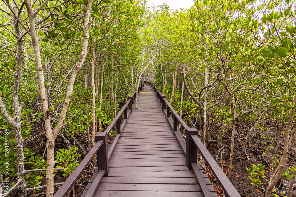 Obraz premium Drewniany most w lesie mangrowe w Petchaburi, Tajlandia