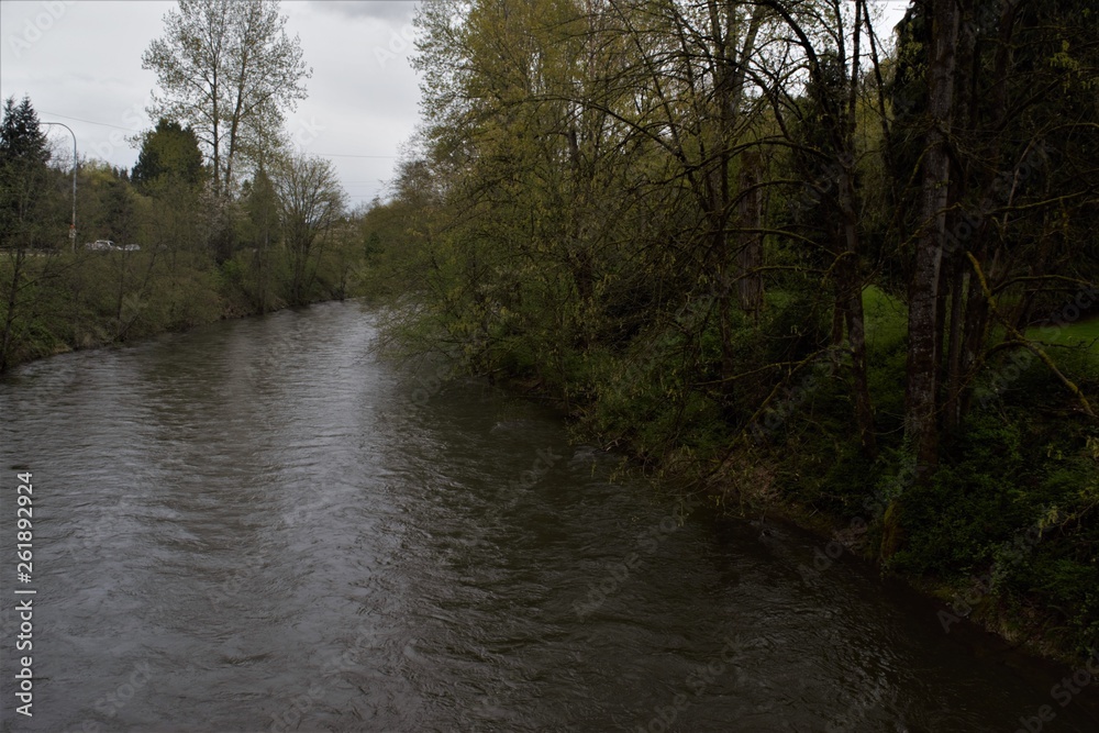 Cedar river in the spring