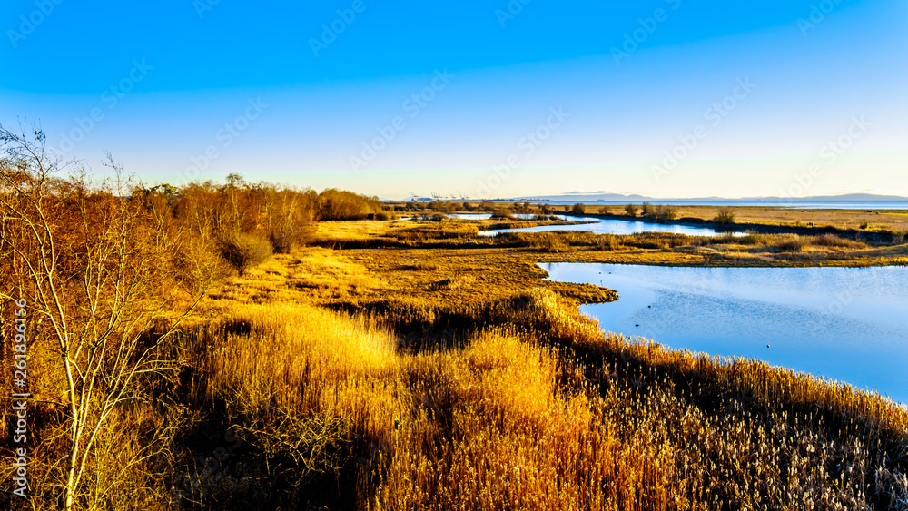 Φωτογραφία Winter Sunset over ocean side Wetlands of the Reifel Bird Sanctuary in the Alaks