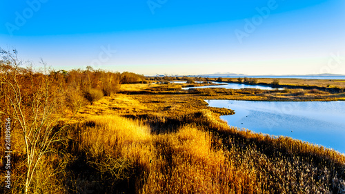 Winter Sunset over ocean side Wetlands of the Reifel Bird Sanctuary in the Alaksen National Wildlife Area on Westham Island near Ladner, British Columbia, Canada © hpbfotos