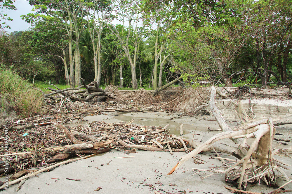 Pollution sur une plage du Costa Rica après de grosse pluies, les déchets qui étaient dans les rivières se retrouvent sur cette plage du pacifique. Santa Teresa, Costa Rica Pollution sur une plage du Costa Rica après de grosse pluies, les déchets qui étaient dans les rivières se retrouvent sur cette plage du pacifique. Santa Teresa, Costa Rica