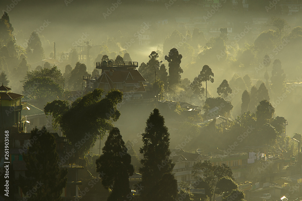 landscape with fog and trees Mirik Lake Darjeeling  