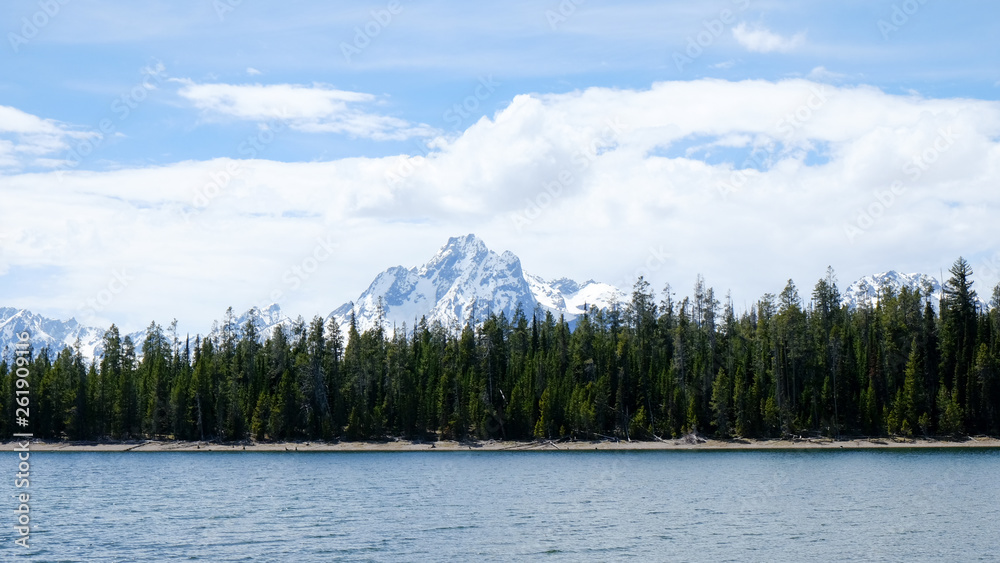 lake and forest with snowy mountain background lake and forest with snowy mountain background