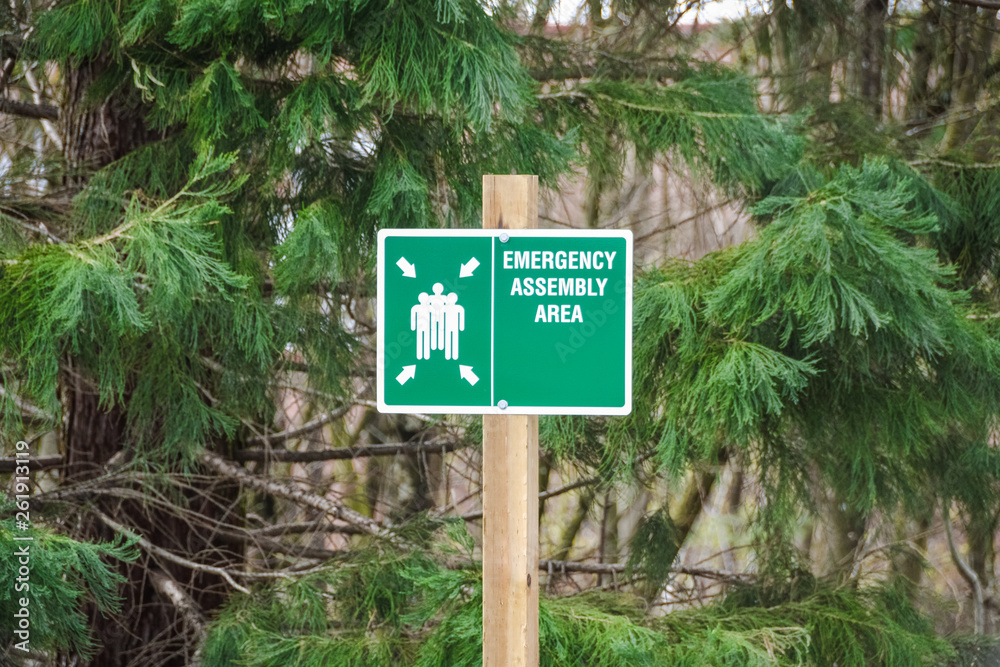 Emergency assembly area sign on fir needle background Emergency assembly area sign on fir needle background