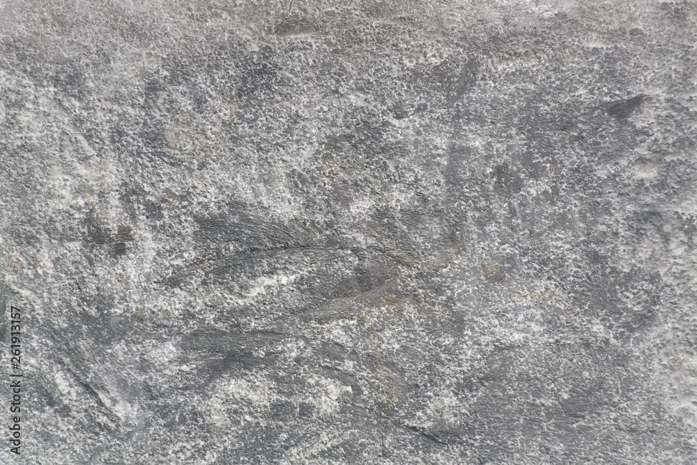 Fototapeta premium concrete wall