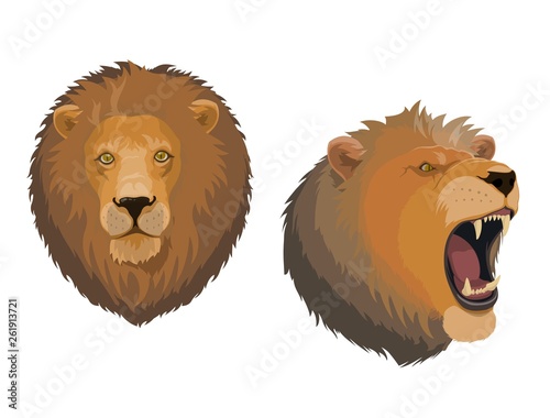 Lion animal head of angry roaring leo face
