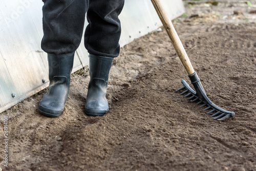 Farmer working in garden with rake leveling ground. Preparation of ground for planting. photo