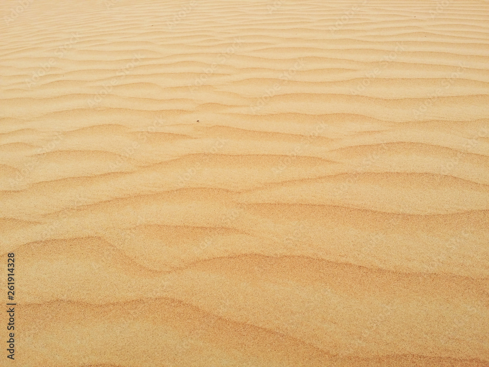 Sand dunes in Sahara desert Sand dunes in Sahara desert