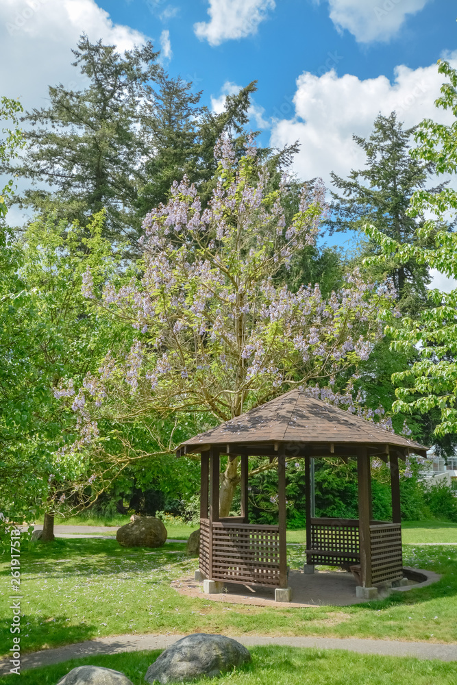 Snug cozy gazebo under blossoming trees on sunny summer day. Wooden gazebo in a garden on blue sky background Snug cozy gazebo under blossoming trees on sunny summer day. Wooden gazebo in a garden on blue sky background