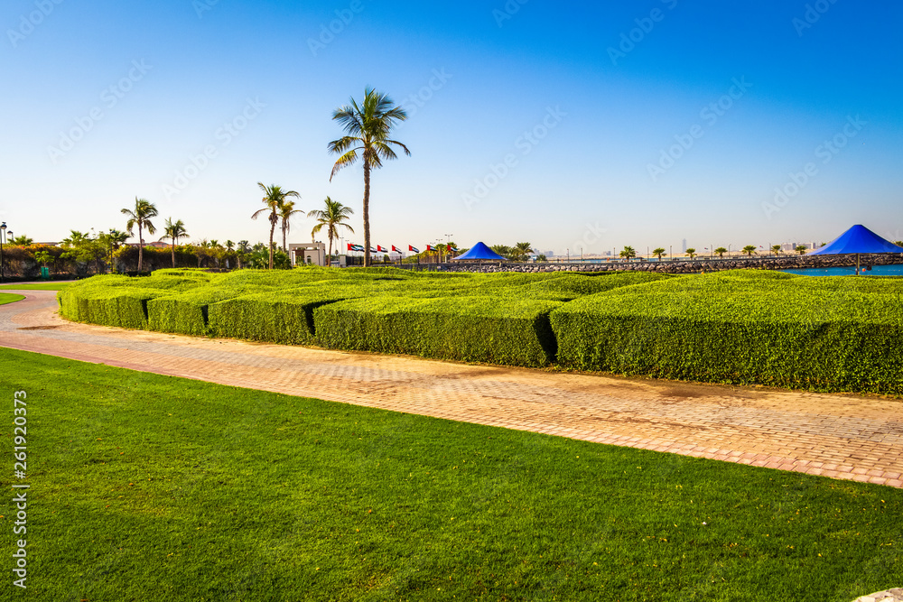 Obraz premium Beautiful park alley with trimmed green bushes.