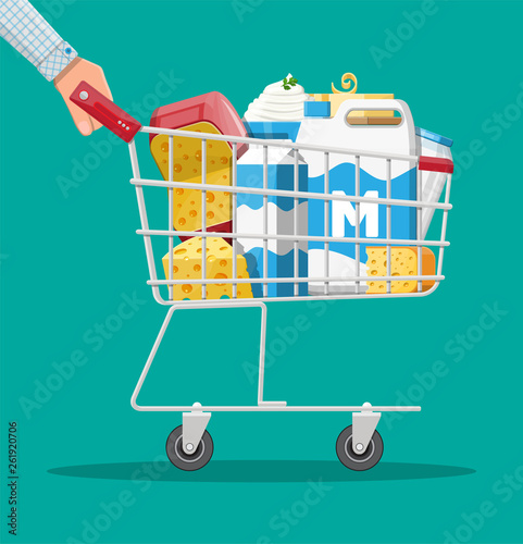 Milk products set in plastic shopping cart with cheese, cottage and butter. Dairy food. Tradicional fresh farm products. Vector illustration in flat style