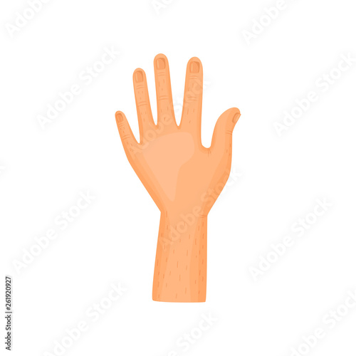 Left hand on white background. Vector illustration.