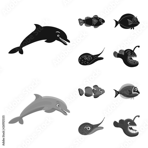 Isolated object of sea and animal icon. Collection of sea and marine stock symbol for web.