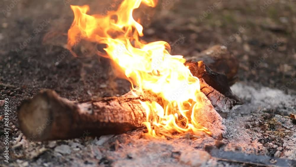 Campfire in nature, beautiful fire in summer on a picnic, closeup Campfire in nature, beautiful fire in summer on a picnic, closeup