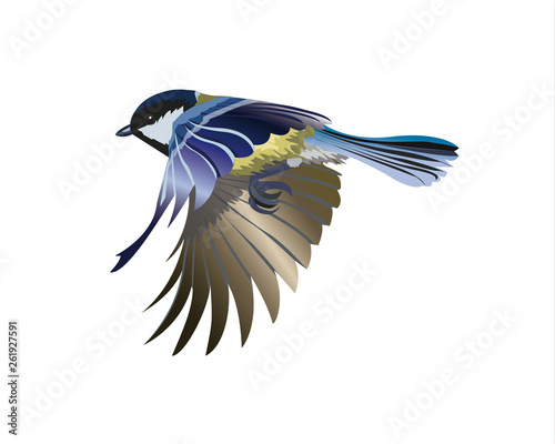 yellow-blue bird in flight