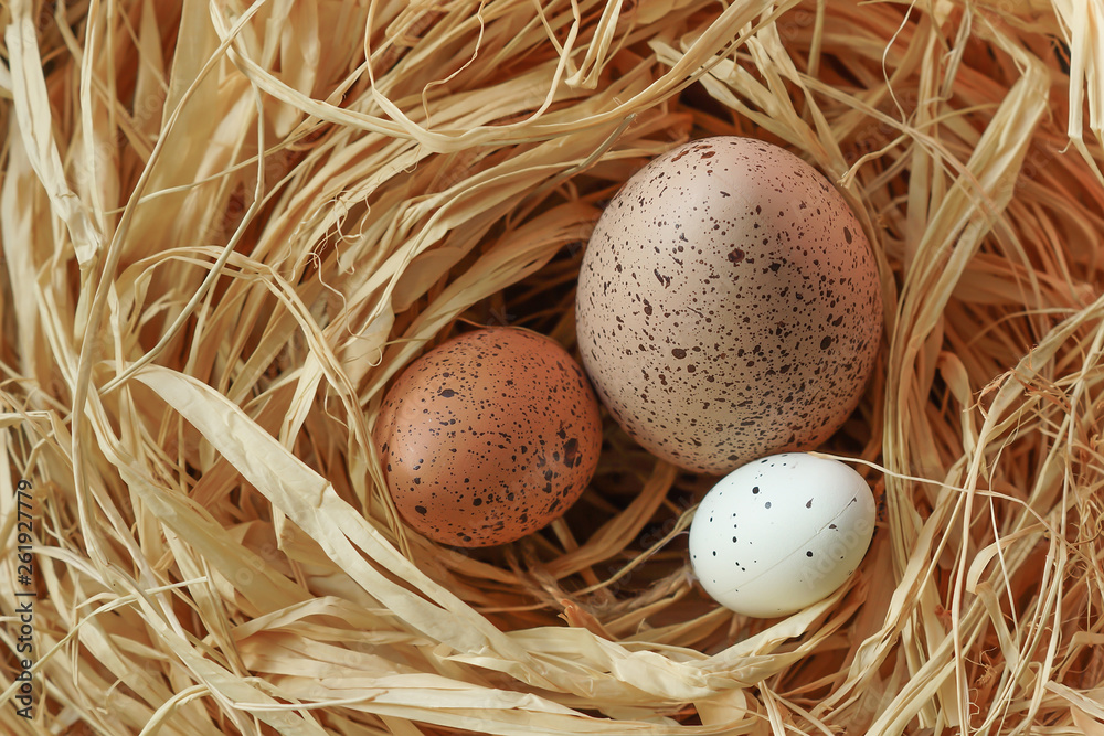 Obraz premium Ostern