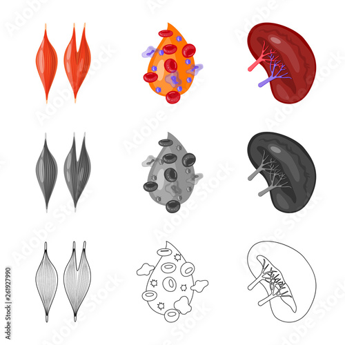 Isolated object of biology and scientific symbol. Set of biology and laboratory stock vector illustration.