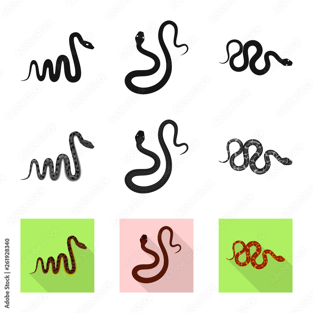 Isolated object of mammal and danger logo. Collection of mammal and medicine stock symbol for web. Isolated object of mammal and danger logo. Collection of mammal and medicine stock symbol for web.