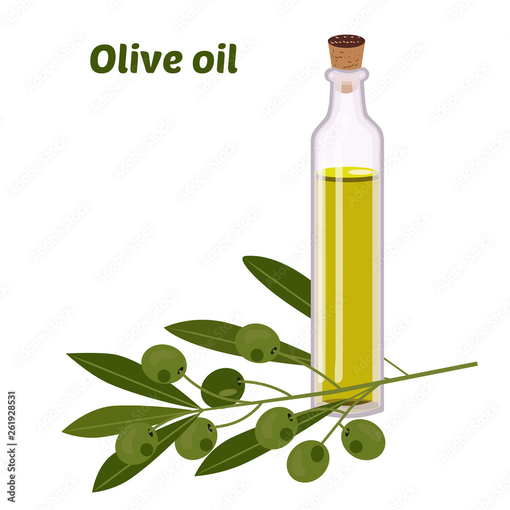 Olive oil in a round bottle. Transparent edible liquid from natural,  vegetable, natural organic wholesome oil. Cartoon flat style for any web  design. Stock Vector | Adobe Stock
