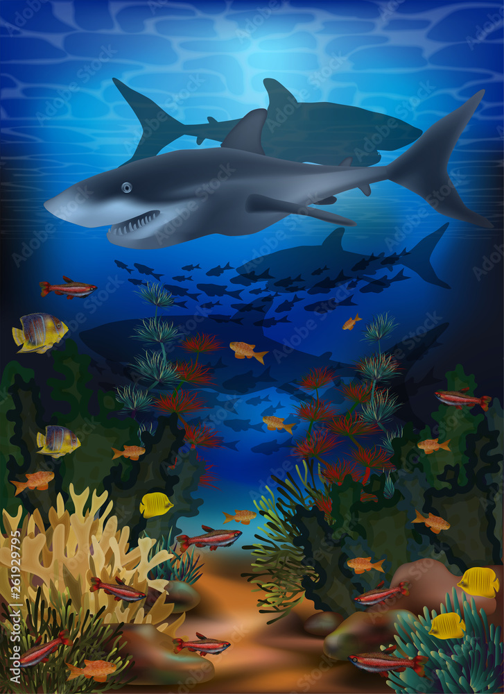 Fototapeta premium Underwater background with shark and tropical fish, vector illustration